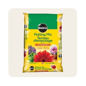 Shop potting mix for indoor and outdoor plants