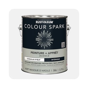 Shop interior paint and primer can