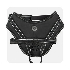 Dog collars & more