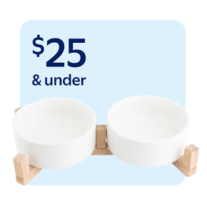 Dog bowls & feeders