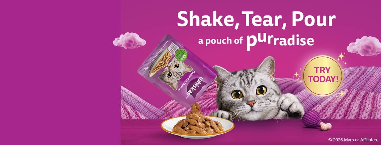 Purr more