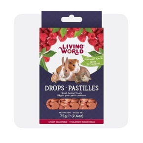 Shop raspberry treats for small pets
