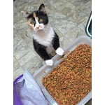 Image 5 des photos des clients