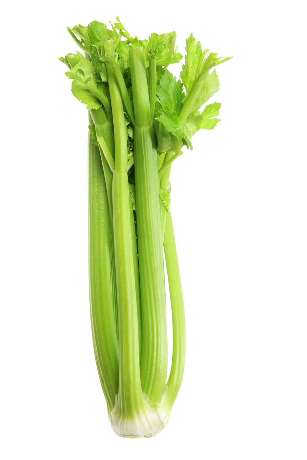 Celery Walmart Canada