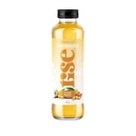 RISE Kombucha Fresh Ginger, 414mL