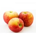 thumbnail image 1 of Pomme, Jazz, 1 of 1