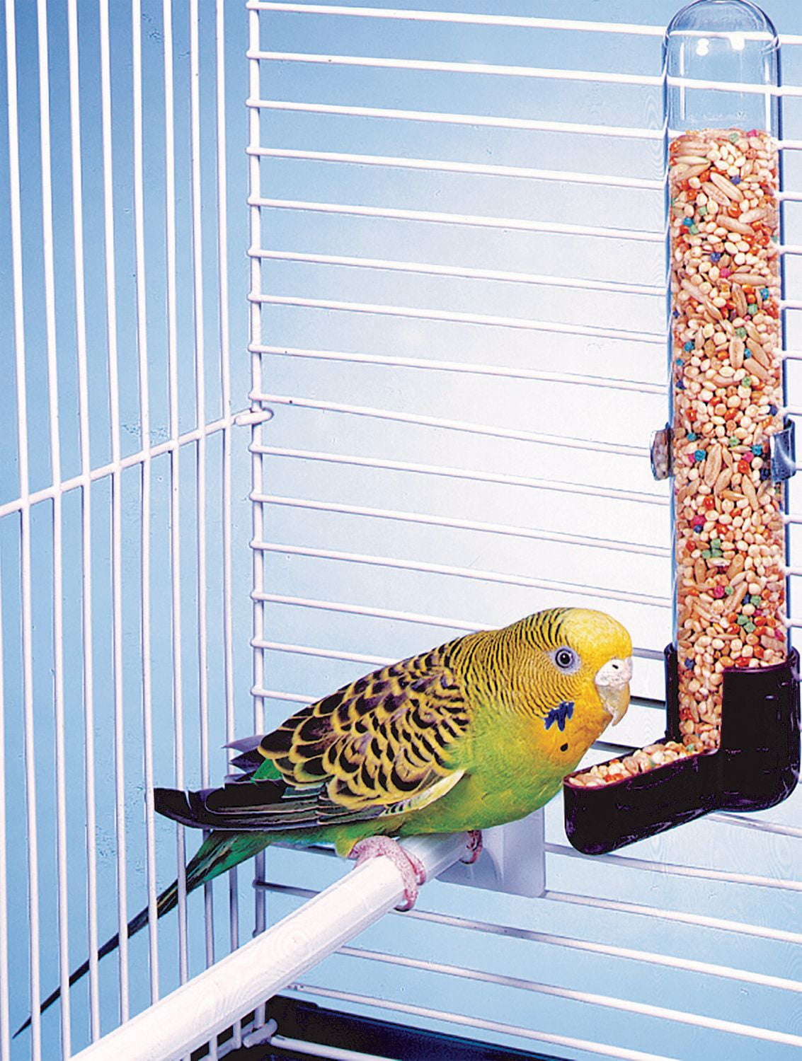 Penn-Plax Glass Tube Feeder