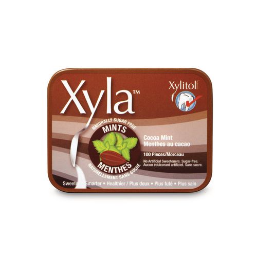 Xyla Naturally Sugar Free Xylitol Cocoa Mint Candy Walmart Canada