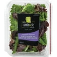 thumbnail image 1 of Fresh Attitude Prewashed Baby Romaine Mix, 1 of 4