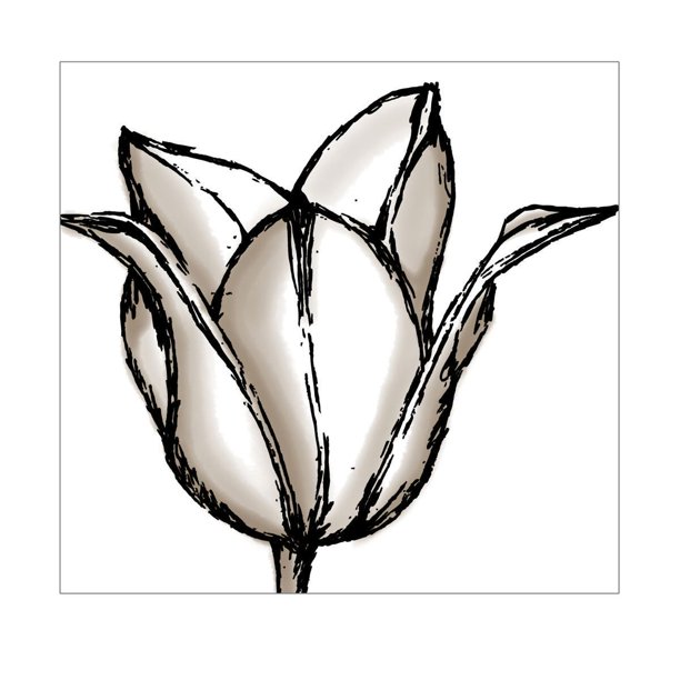 Toile Shutter de 24 x 24 po – Tulipe