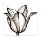 Toile Shutter de 24 x 24 po – Tulipe – image 1 sur 1
