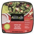 thumbnail image 1 of Attitude Fraîche Salade Prête à Servir Mélange Printanier avec Garnitures, 1 of 5