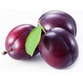 thumbnail image 1 of Plums, Assorted Colours, 1 of 1