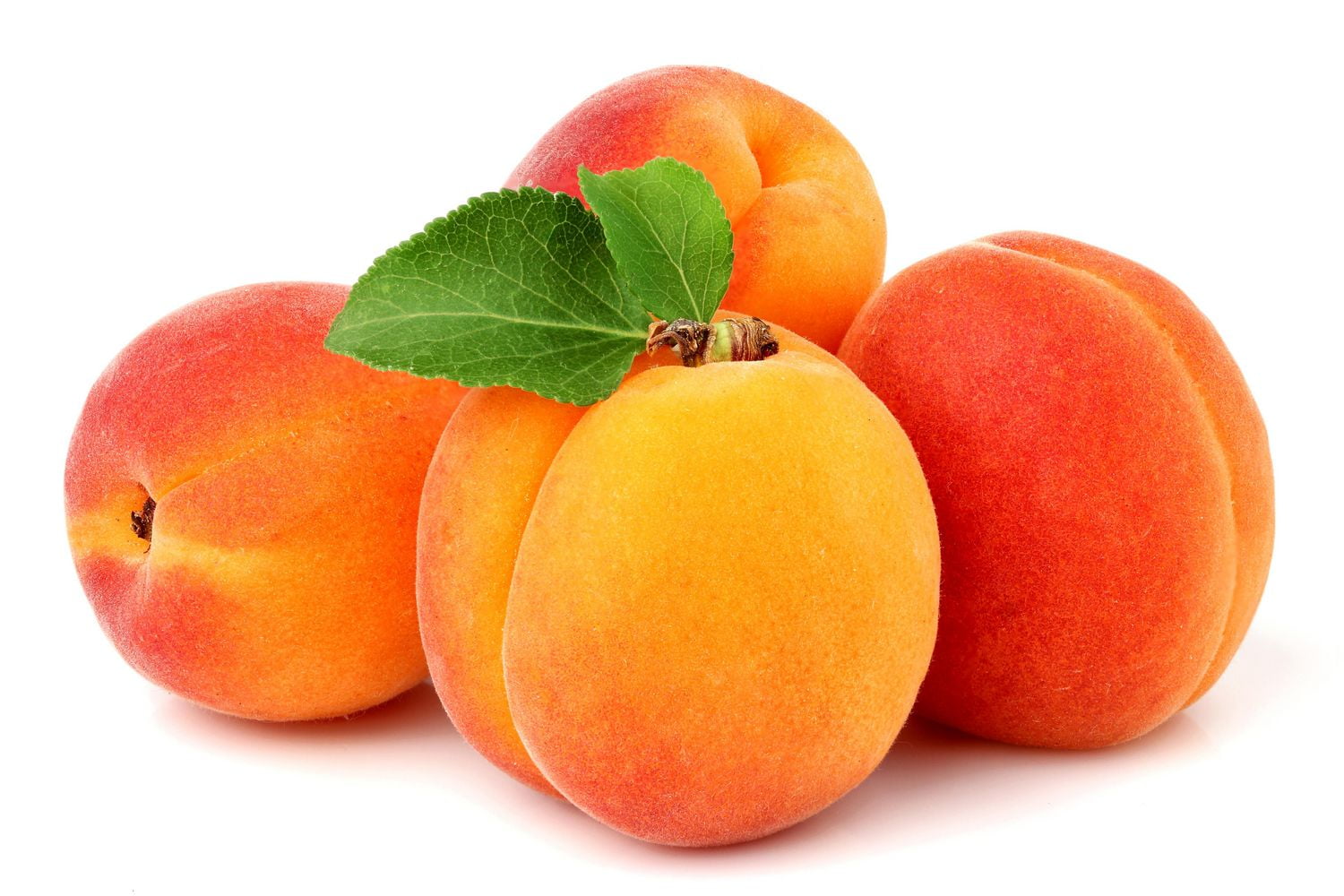 Apricots
