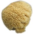 thumbnail image 1 of Skye Spa Natural Facial Sea Sponge, 1 of 1