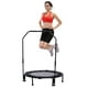 Sunny Health & Fitness Trampoline pliable avec barre stabilisatrice, 101 cm (40 po) – image 1 sur 9
