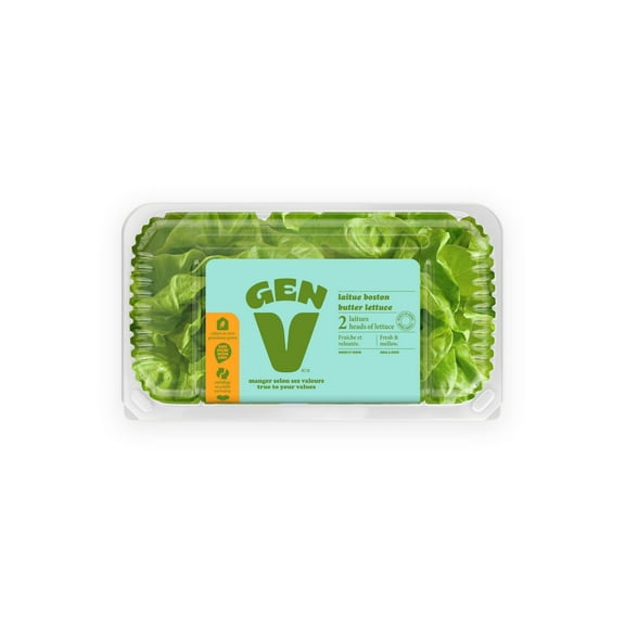 Butter Lettuce, Pack of 2