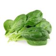 thumbnail image 1 of Queen Victoria Spinach, 1 of 1