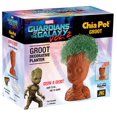 thumbnail image 1 of Chia Pet Groot Handmade Decorative Planter, 1 of 1