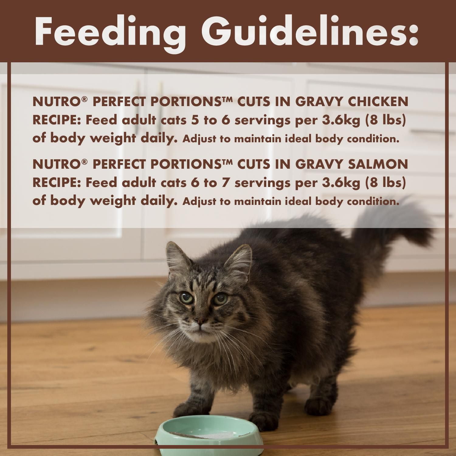 Nutro cuts in hot sale gravy cat food