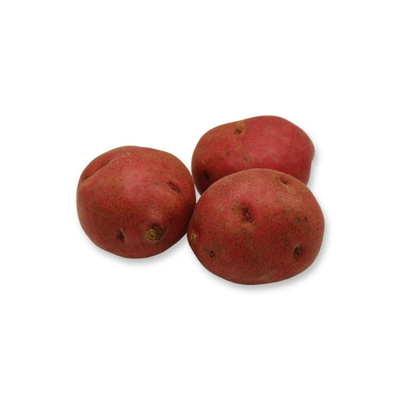 Potato, Red, Sold in singles, 0.07 - 0.23 KG