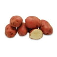 thumbnail image 5 of Potato, Red, Sold in singles, 0.07 - 0.23 KG, 5 of 5