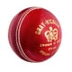 Balle de cricket Special Crown de Gray Nicolls – image 1 sur 1