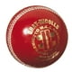 Balle de cricket Test Special de Gray Nicolls – image 1 sur 1