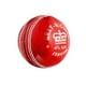 Balle de cricket ligue sénior Gray Nicolls – image 1 sur 1