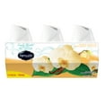 thumbnail image 1 of Renuzit Adjustables Simply Vanilla- 3 pack / 594 g total, 1 of 1