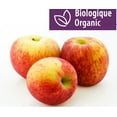 thumbnail image 1 of Apples, Envy, Organic, 1 of 1
