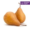 thumbnail image 1 of Pear, Organic Bosc, 1 of 1