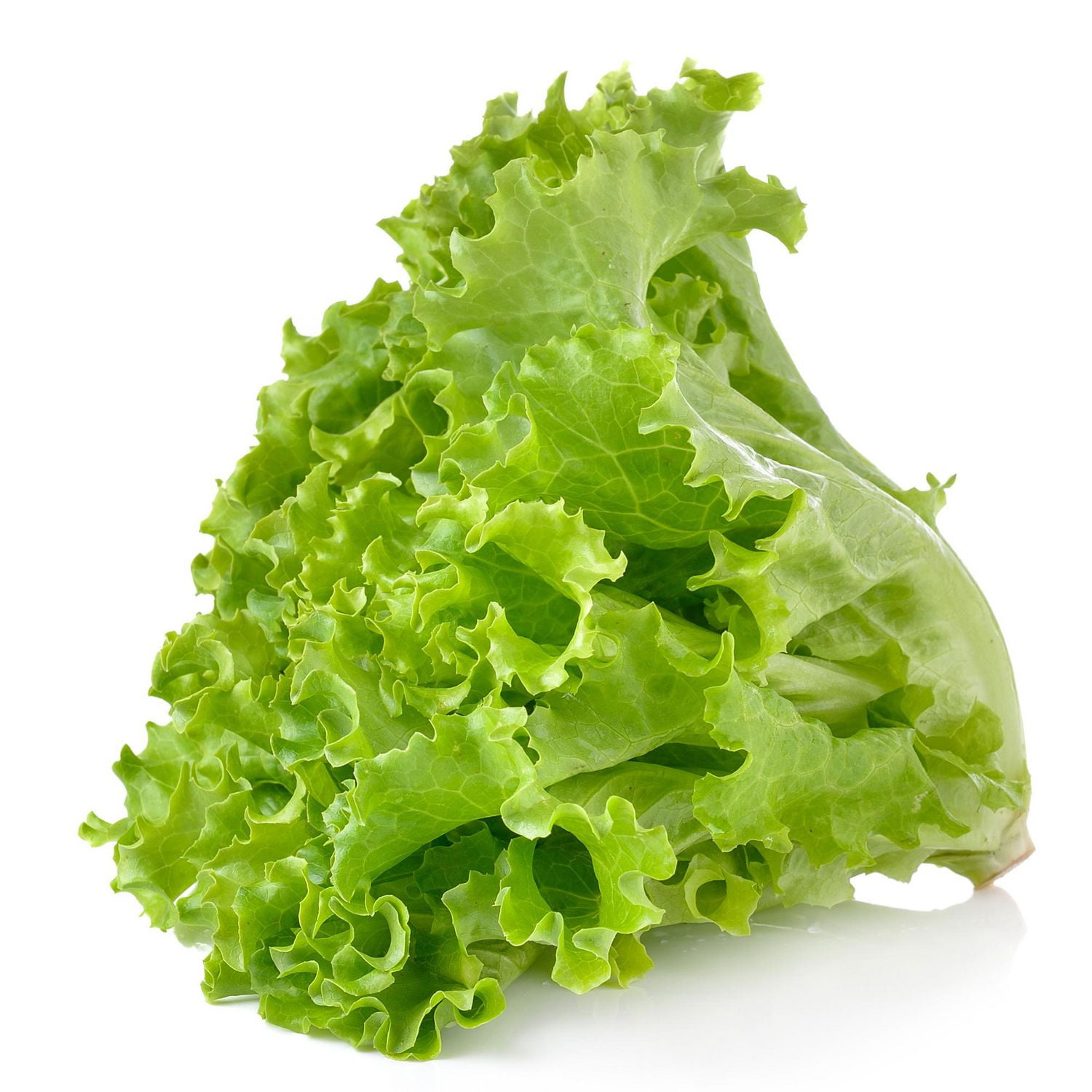 buy-fresh-green-leaf-lettuce-online-walmart-canada