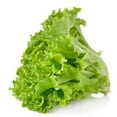 thumbnail image 1 of Laitue verte Vendu individuellement, 1 of 3