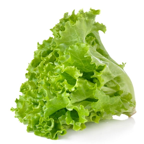 Lettuce, Green Leaf, Sold in singles