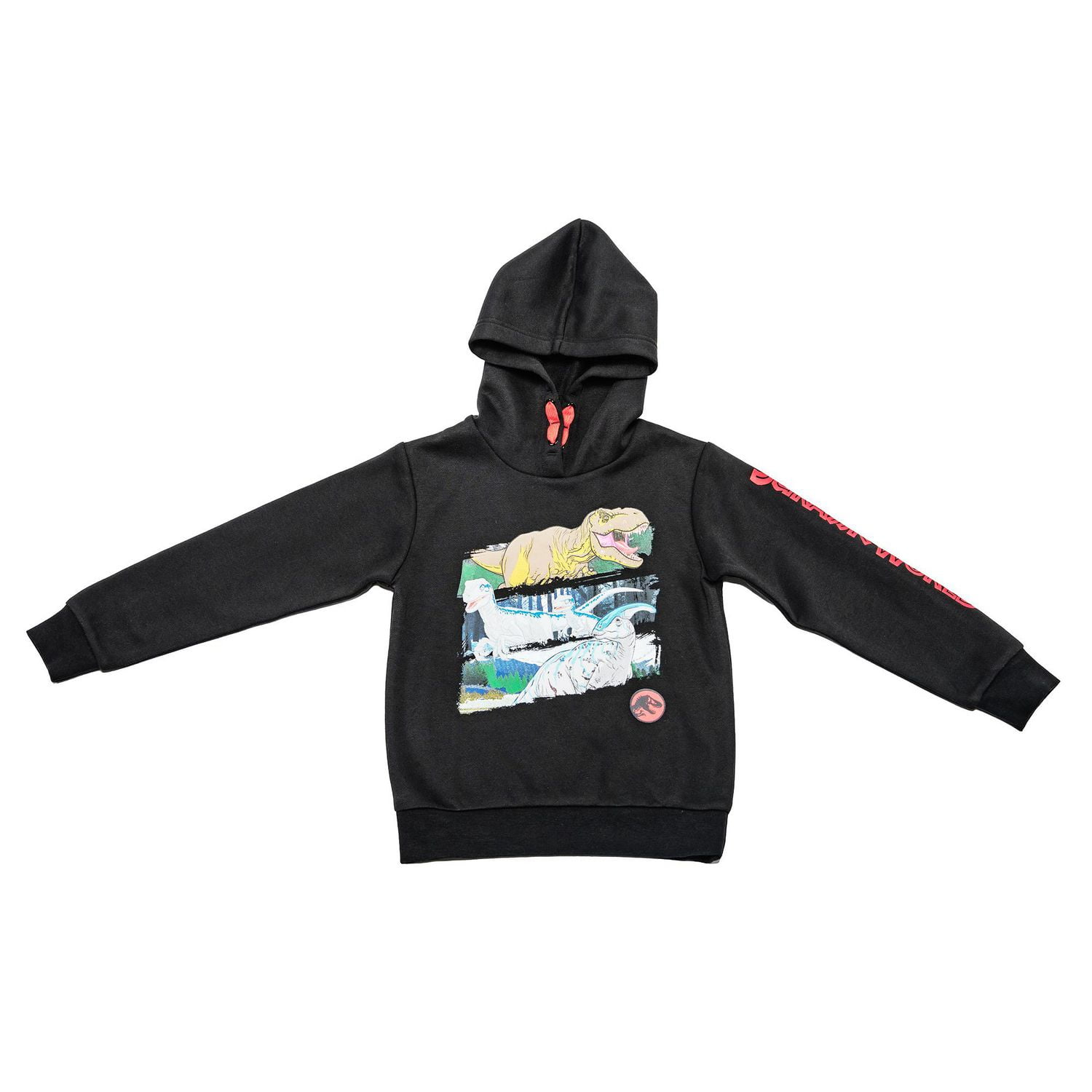 Boys Jurassic World Dino Scenes Long Sleeve Hoodie