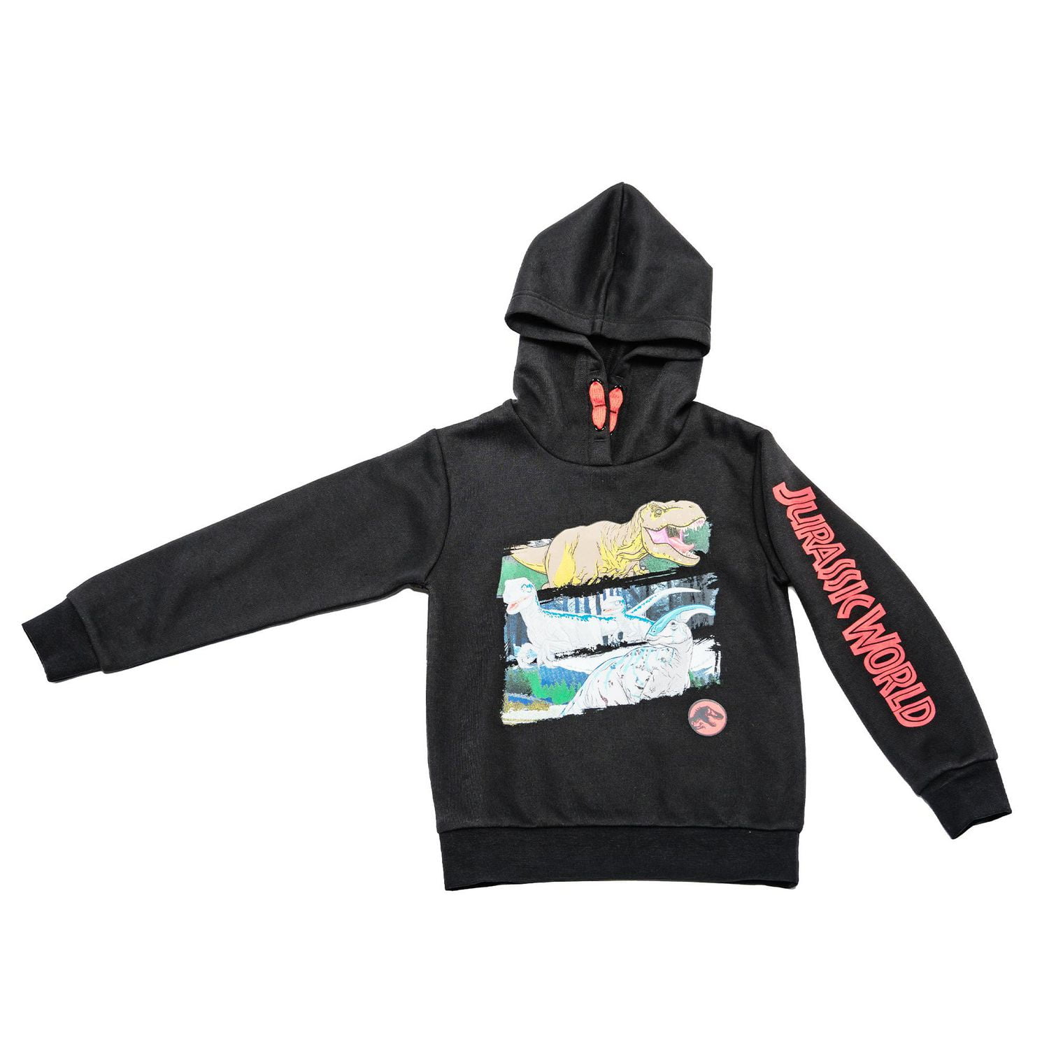 Boys Jurassic World Dino Scenes Long Sleeve Hoodie