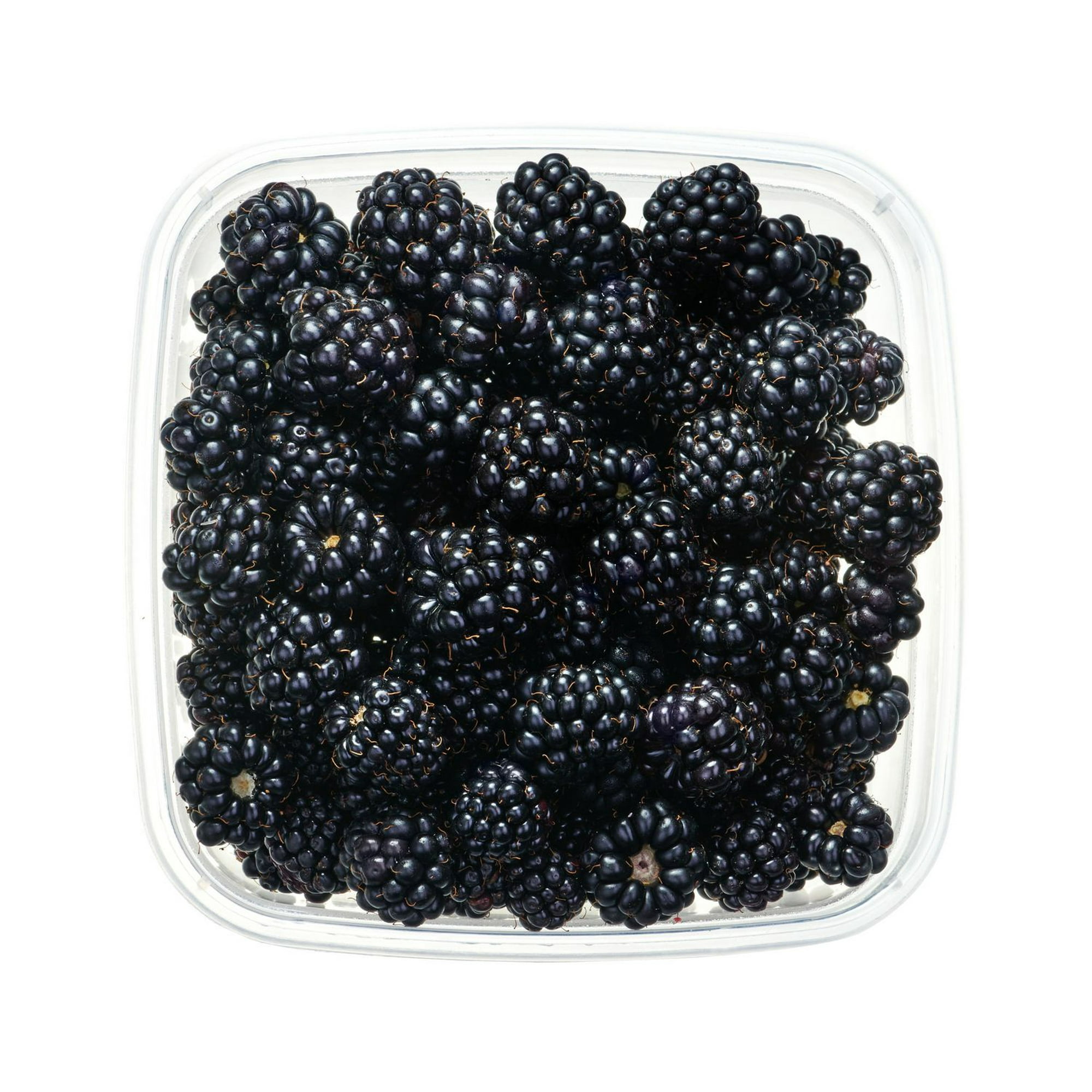 Bramble Berries (Raspberry, Blackberry)