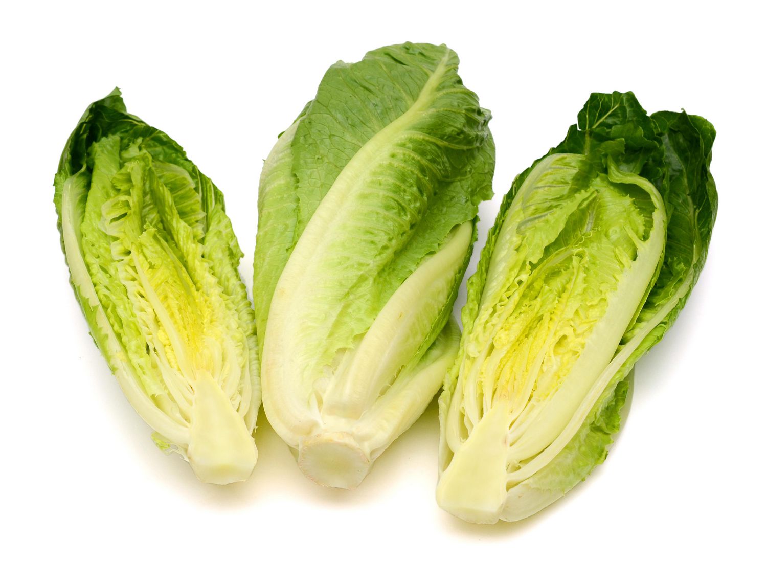 Coeurs romaine 6 CT