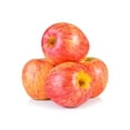 thumbnail image 1 of Apple, Royal Gala, 1 of 1