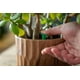 Bâtonnets d'engrais pour plantes d'intérieur Miracle-Gro - 24 bâtonnets Pour toutes les plantes – image 5 sur 6