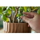 Bâtonnets d'engrais pour plantes d'intérieur Miracle-Gro - 24 bâtonnets Pour toutes les plantes – image 6 sur 6