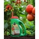 Engrais pour tomates, fruits et légumes Miracle-Gro Shake ’n Feed - 2,04g – image 2 sur 6