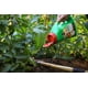 Engrais pour tomates, fruits et légumes Miracle-Gro Shake ’n Feed - 2,04g – image 5 sur 6