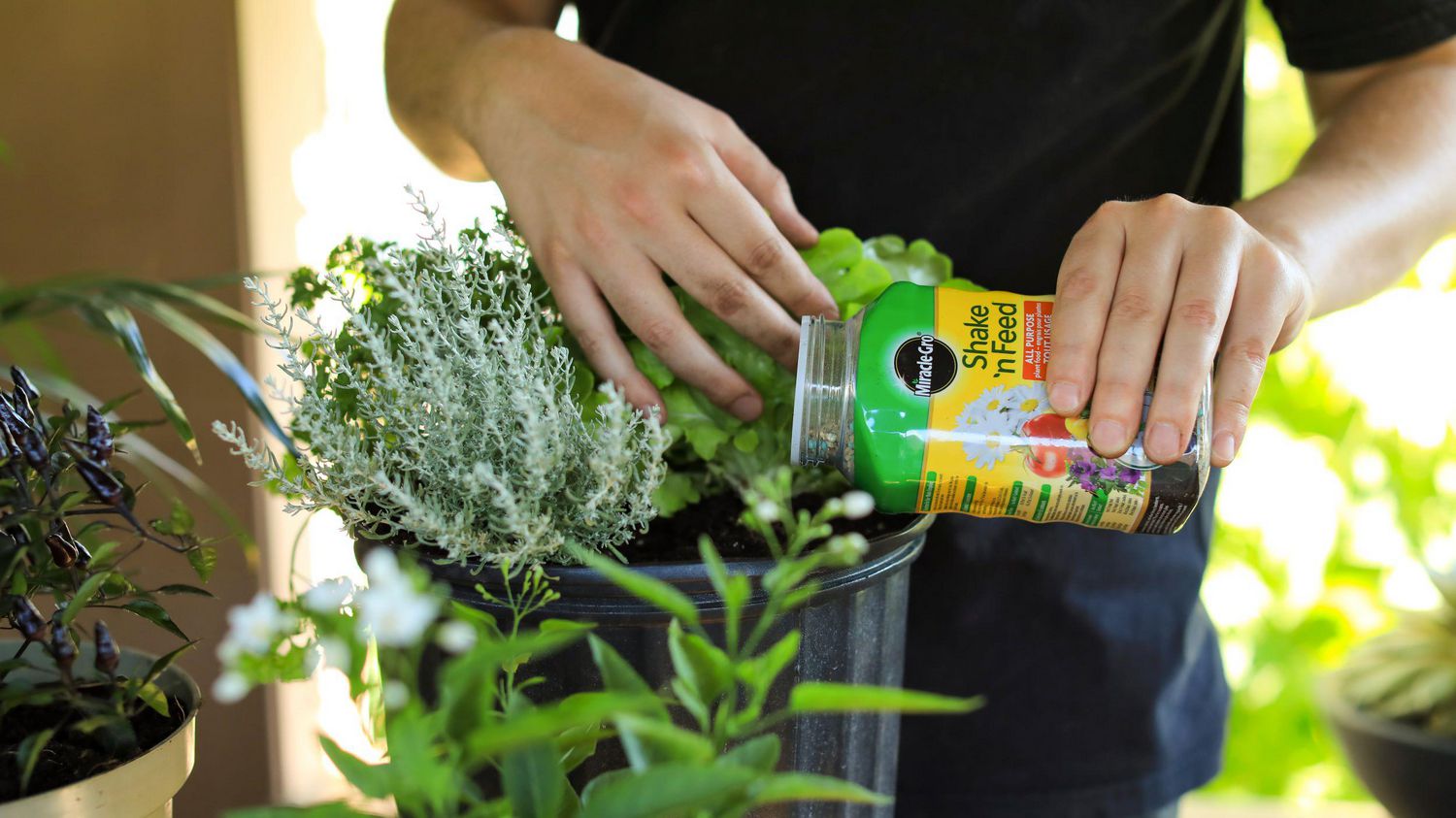 Nourriture pour plantes d'intérieur Miracle-Gro