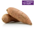 thumbnail image 1 of Patates douces biologiques, 1 of 1
