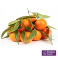 thumbnail image 1 of Organic Mandarin, 2 lb, 1 of 6