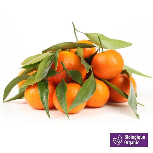 Mandarine biologique 2 lb