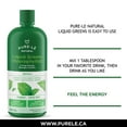 thumbnail image 4 of Pure-lē Natural Liquid Greens Chlorophyll Mint, 4 of 9