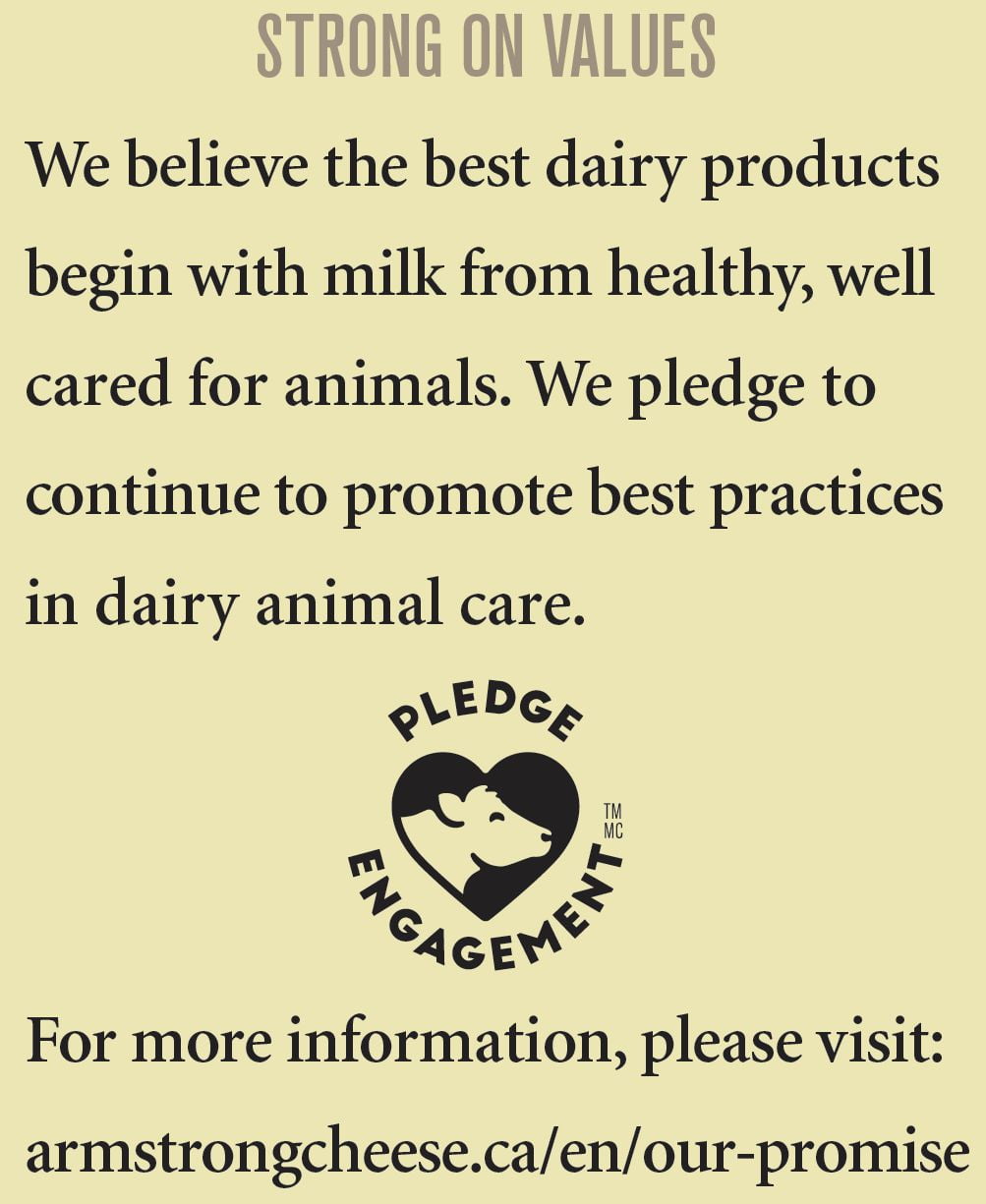 Armstrong Fromage Cheddar ail et herbes 600 g